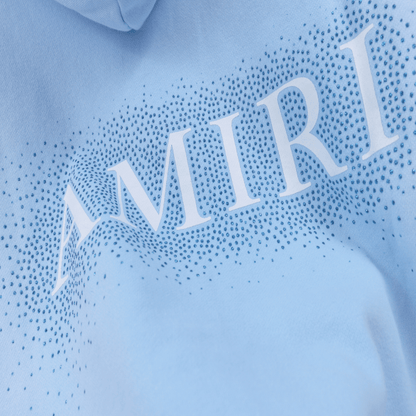 Amr Polychromatic Hoodie