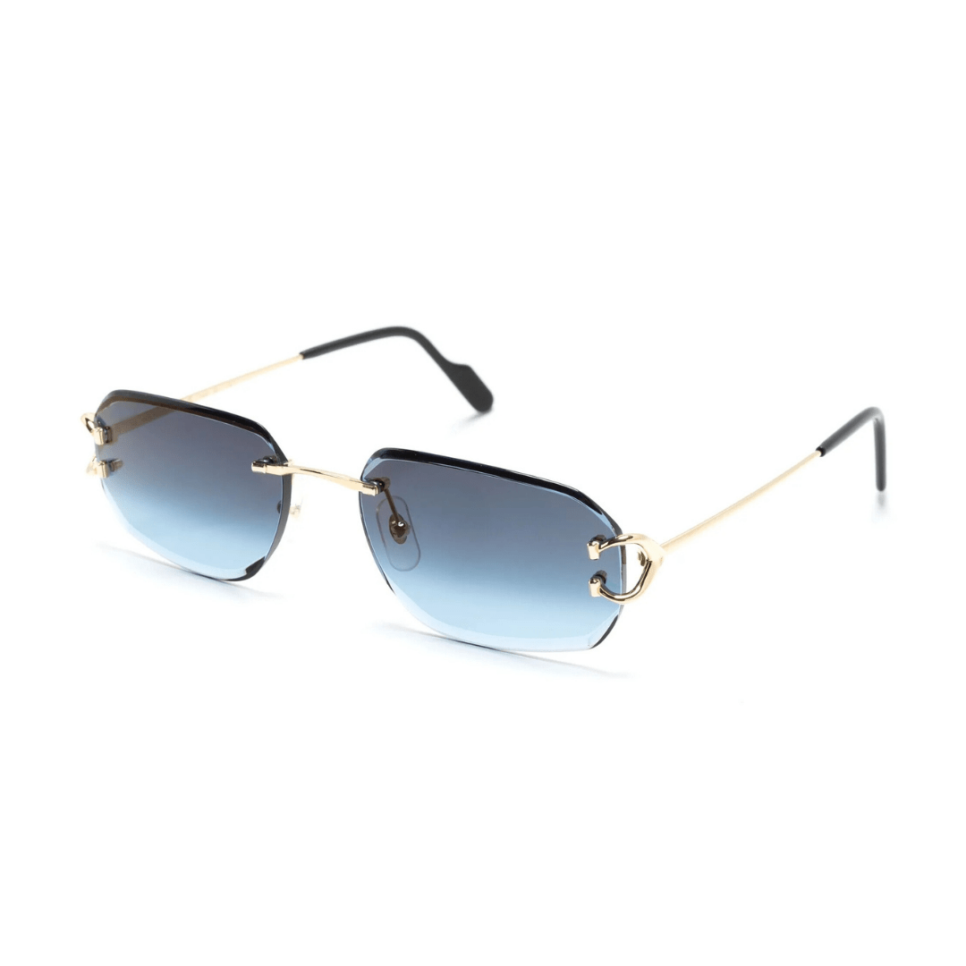 Polychromatic Sunglasses