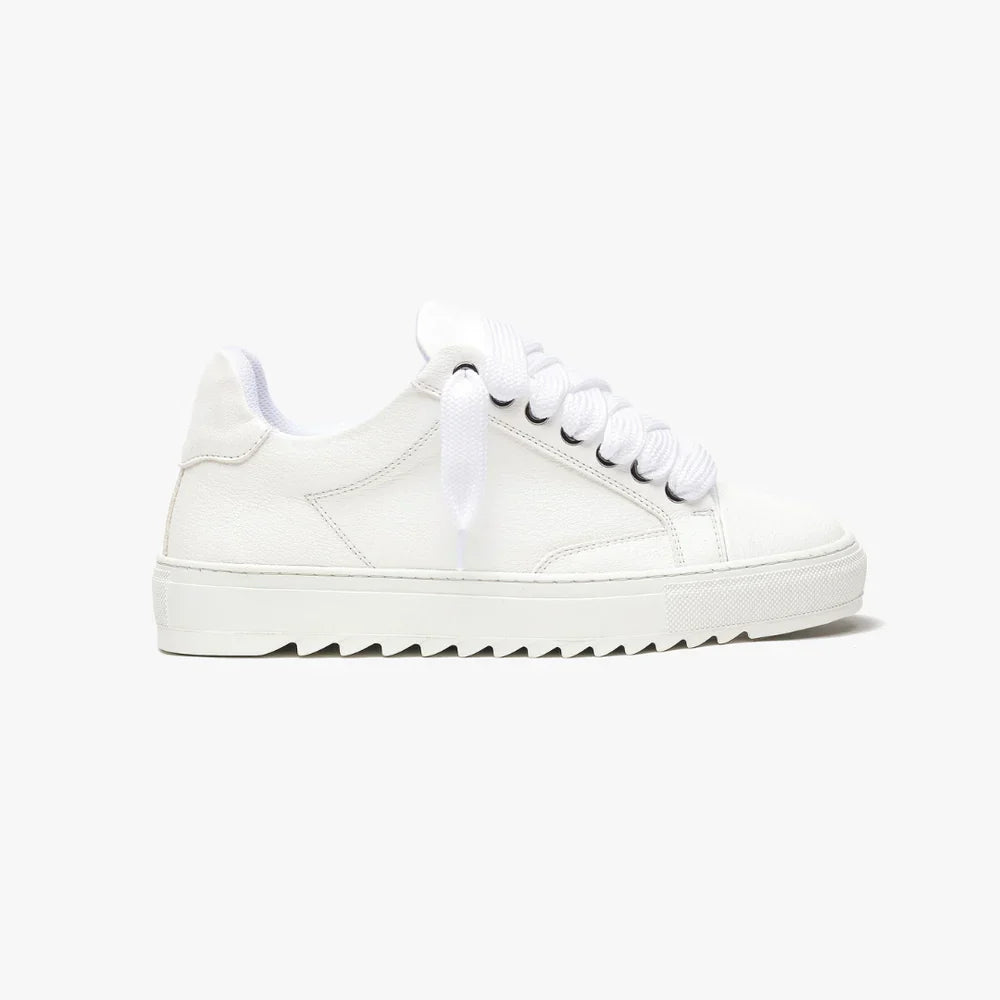 NUMERIS - SNEAKERS